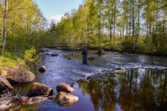2015_Bystrommen_00012