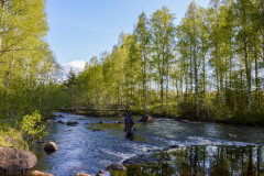2015_Bystrommen_00013