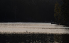 Sandasjön