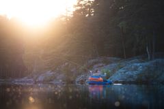 Fiskebilder
