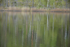 Sjon_00008