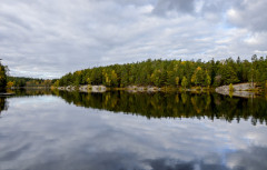 Sjon_00010