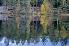 Sjon_00011