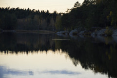 Sjon_00014