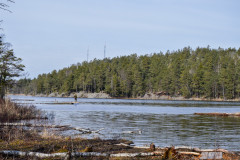 Sjon_00017