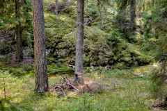Sjon_00019