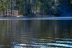 Sjon_00024