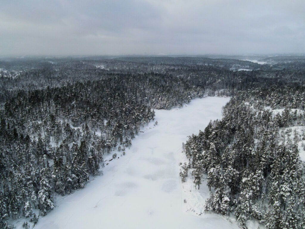 Äntligen pimpla regnbåge! Följ med på spännande isfiske!